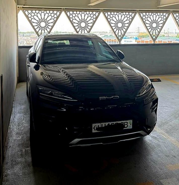 BYD song plus champion