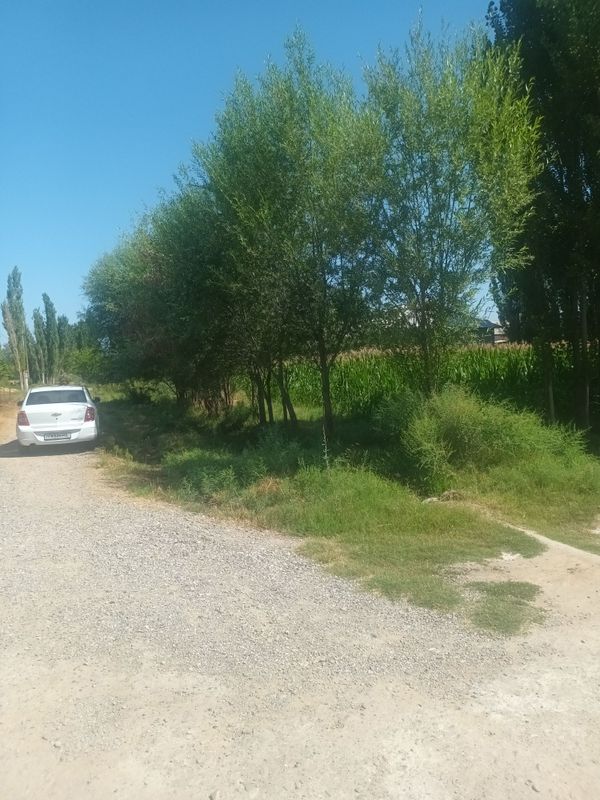 11 sotxli uchastka 11 sotxli uchastka