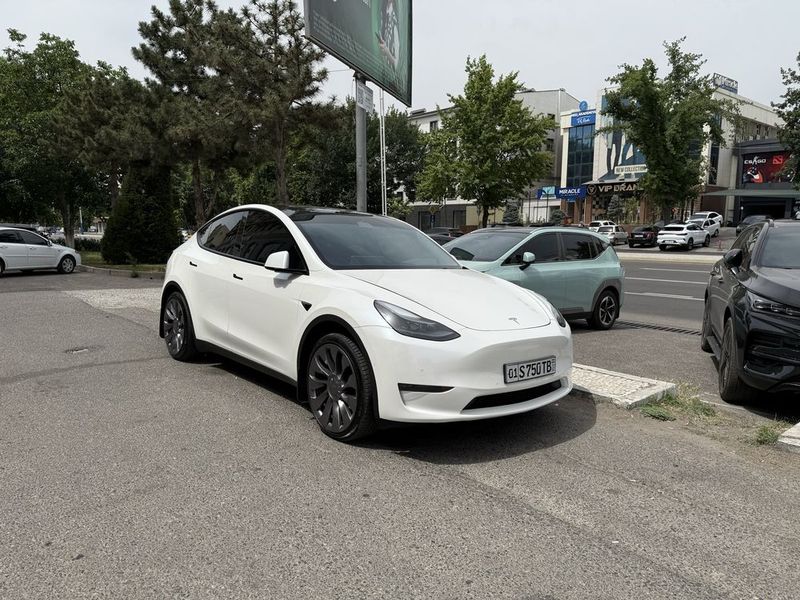 Tesla Model Y dual motor naqd va variant Tesla Model Y dual motor naqd va variant