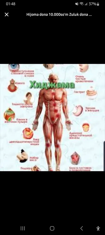 Ayollarni xijoma xijoma qilaman