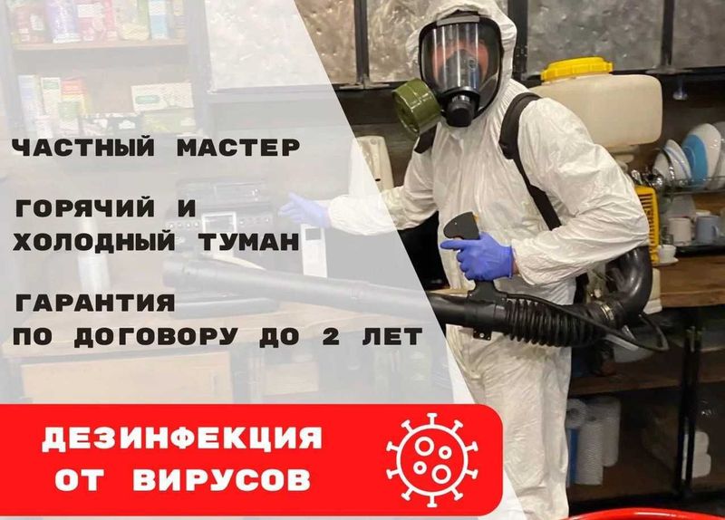 Дезинфекция и дезинсекция дома, крысы, осы | dezinfeksiya kalamush Дезинфекция и дезинсекция дома, крысы, осы | dezinfeksiya kalamush