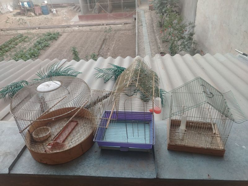 Qushlani kletkasi sotiladi Qushlani kletkasi sotiladi