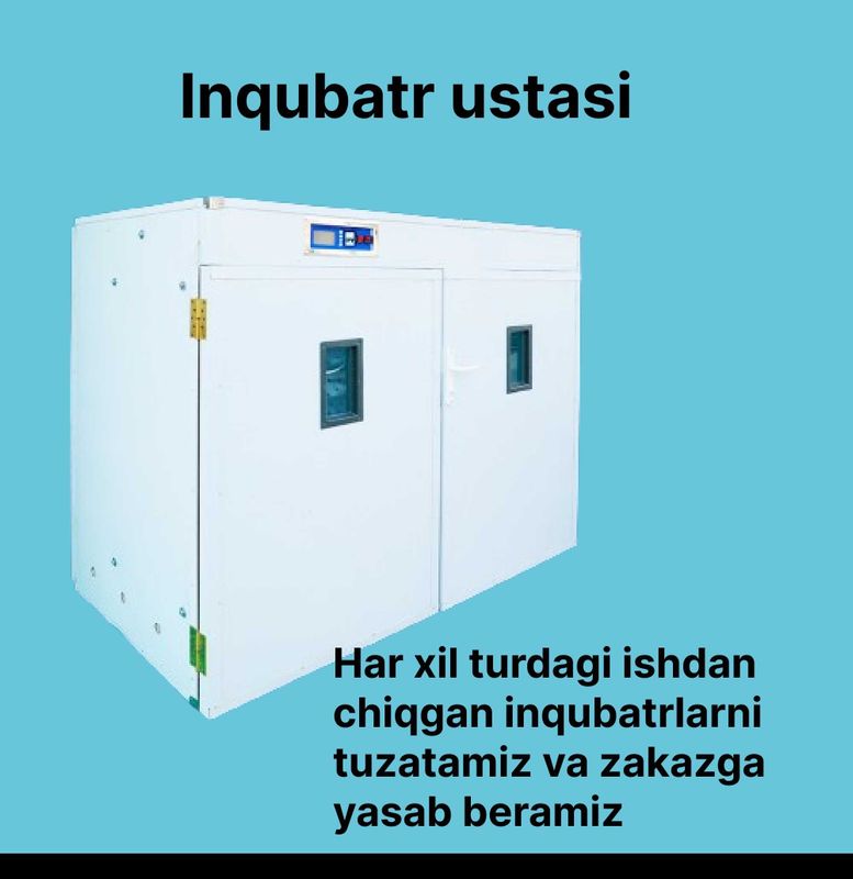 inqubator ustasi, inkubator hizmati