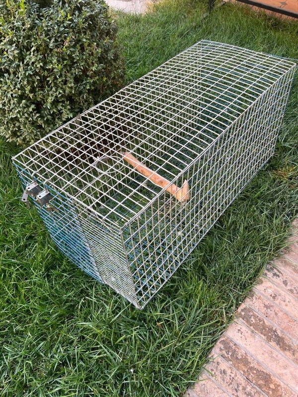 Клетка qafas sotiladi 50x50x100 сетка советский Клетка qafas sotiladi 50x50x100 сетка советский