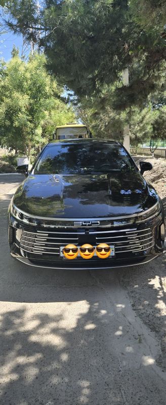 BYD CHAZOR 120 km Flagship, 2025 BYD CHAZOR 120 km Flagship, 2025
