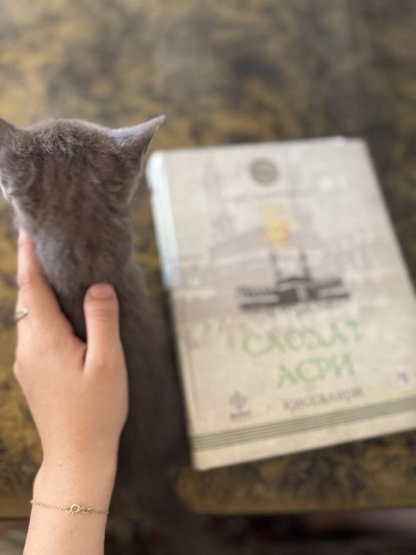 Пародиялик мушукча