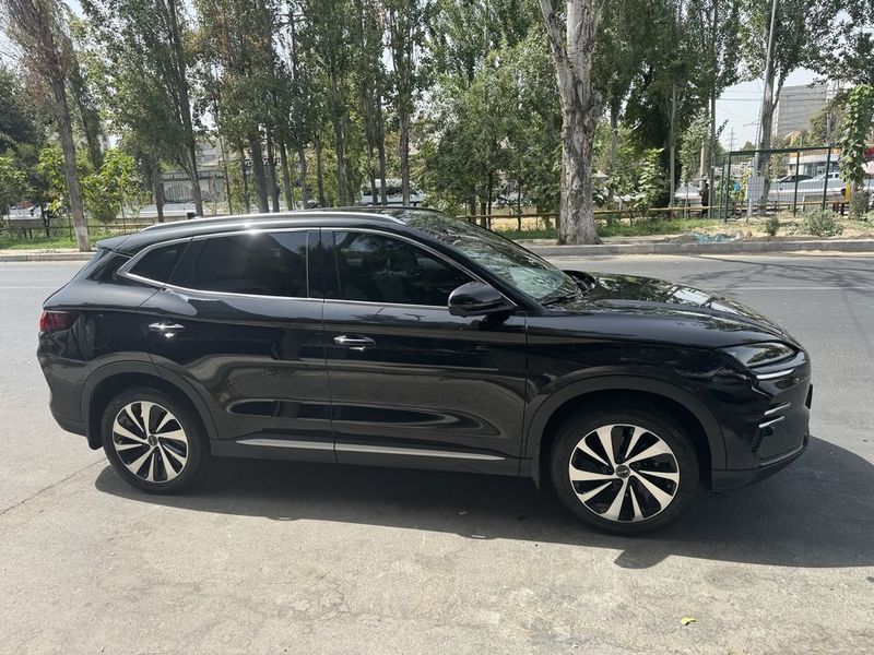 Byd Champion ofitsalniy