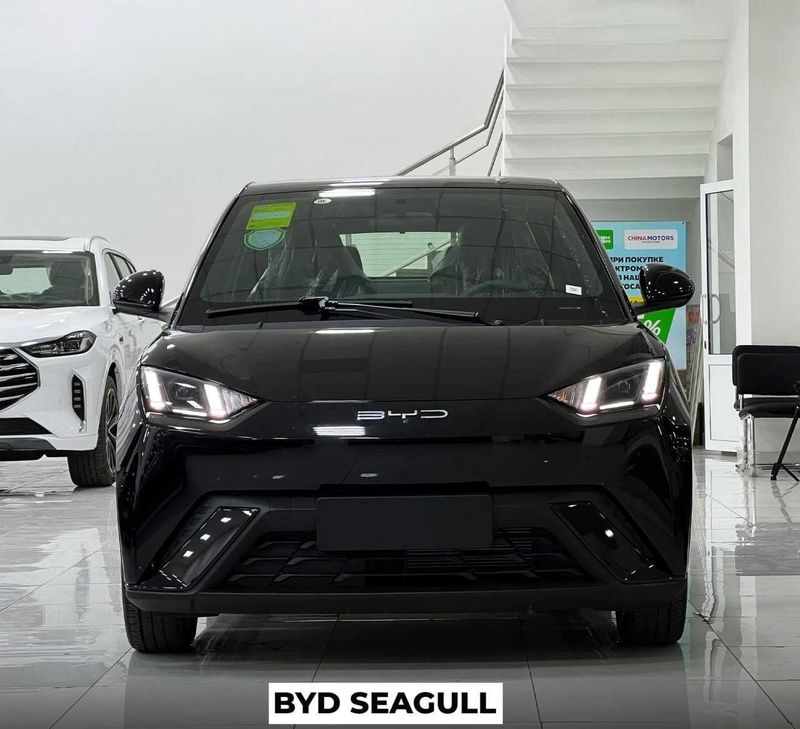 BYD seagull eng qulay elektromobil