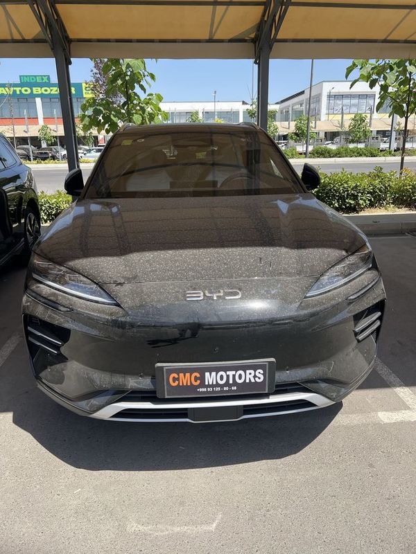 byd chempion smart drive 2025 byd chempion smart drive 2025