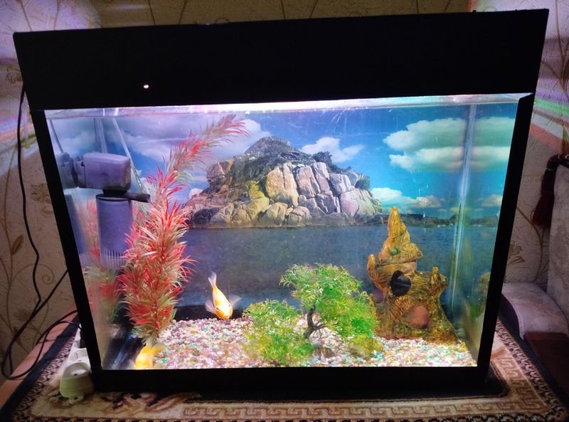 Akvarium sotiladi/ Продам аквариум
