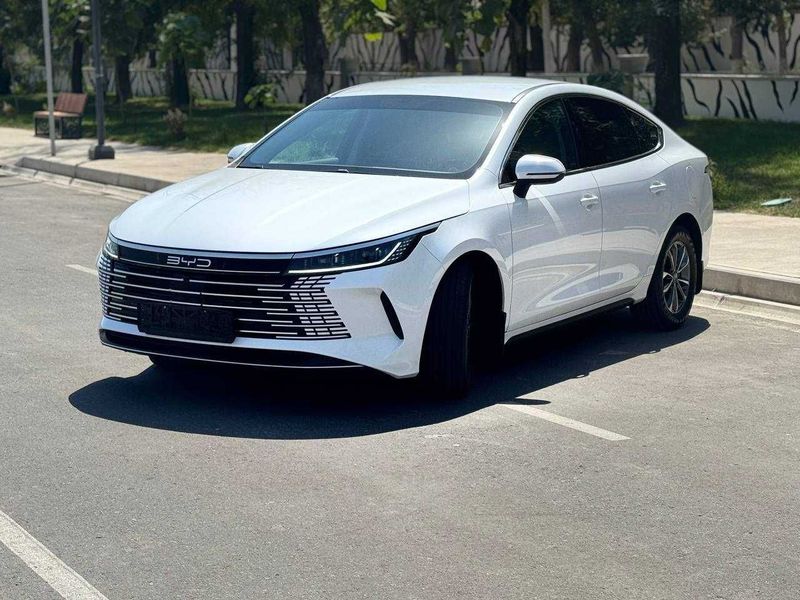 BYD chazor 55km 2 поз 2024й ранги ок BYD chazor 55km 2 поз 2024й ранги ок