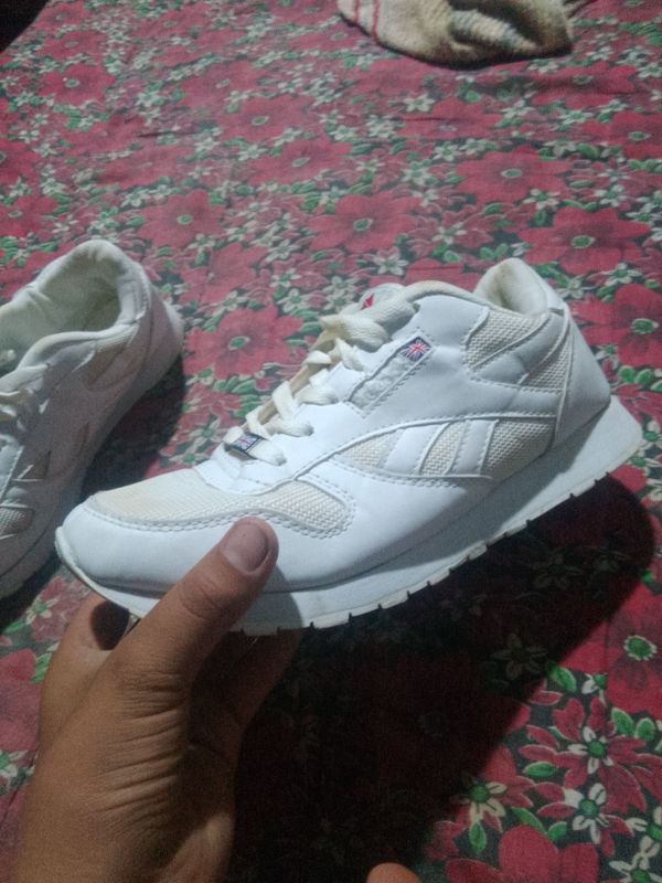 Krasofka reebok amerca Krasofka reebok amerca