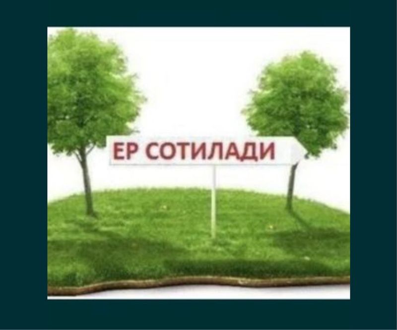Kirov Olmazor kochaYer sotiladi 4 sotih Kirov Olmazor kochaYer sotiladi 4 sotih