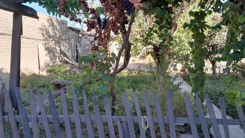 Эски шахар Оккуш маркет ёнида ховли ижарага берилади