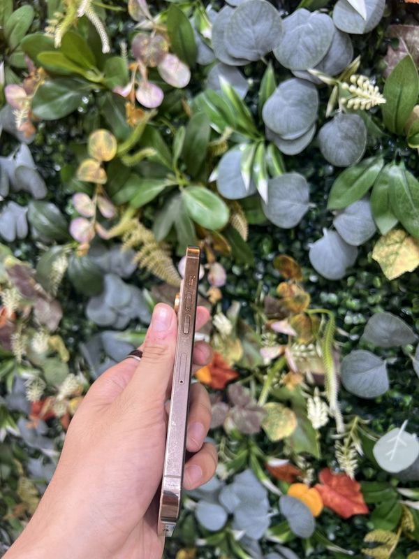 Iphone 13 pro голд