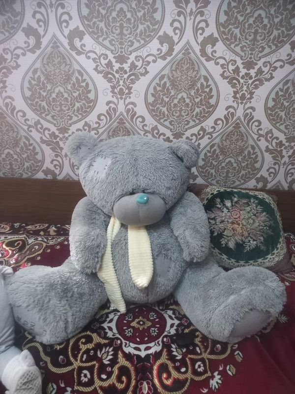 Teddy sotiladi b.u sastayanasi zioor