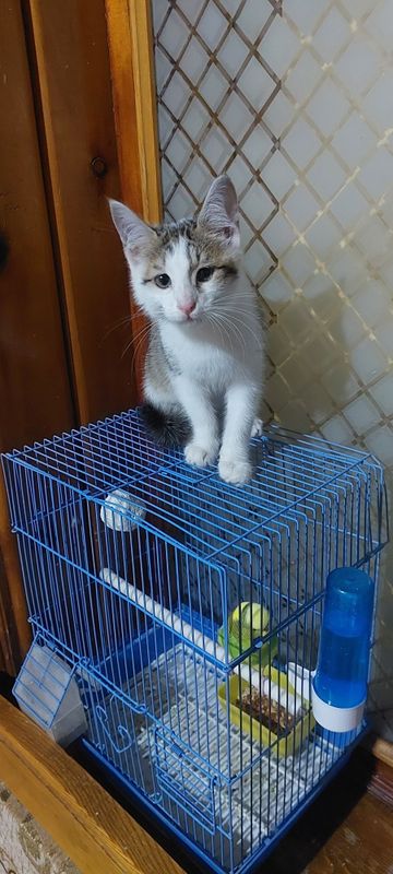 Аркадий красавчик Аркадий красавчик