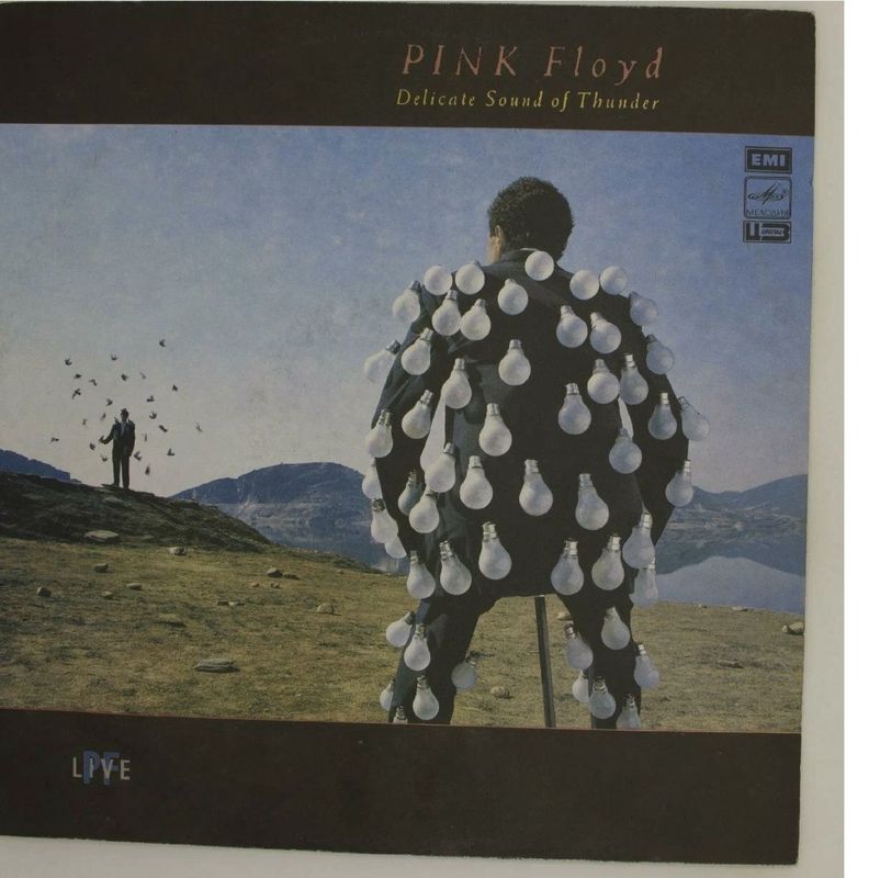 Виниловая пластинка Виниловая пластинка Pink Floyd DELICATE SOUND OF T