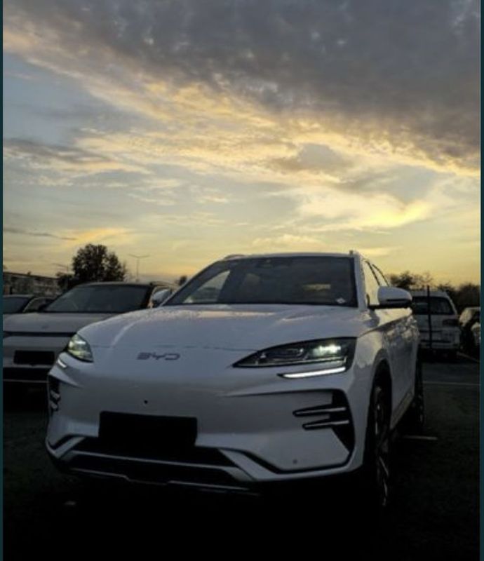 Byd chempion 2024. Рейстайлинг Byd chempion 2024. Рейстайлинг