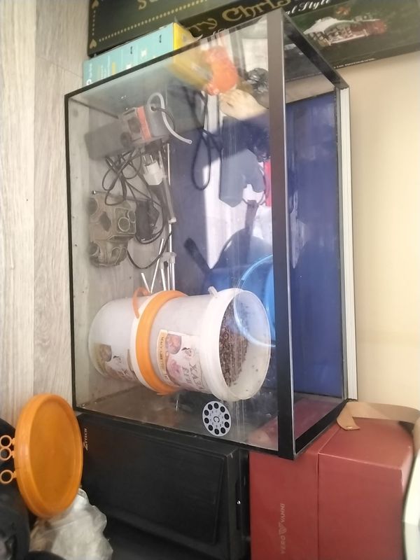 аквариум аквариум