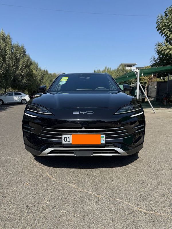 Byd champion Gibrid 2024