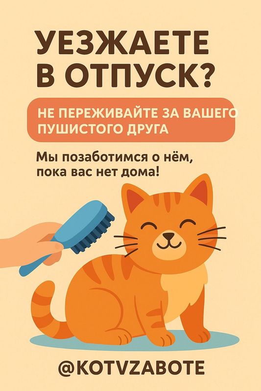 KOTVZABOTE - Присматривание за кошками когда вас нету дома! KOTVZABOTE - Присматривание за кошками когда вас нету дома!