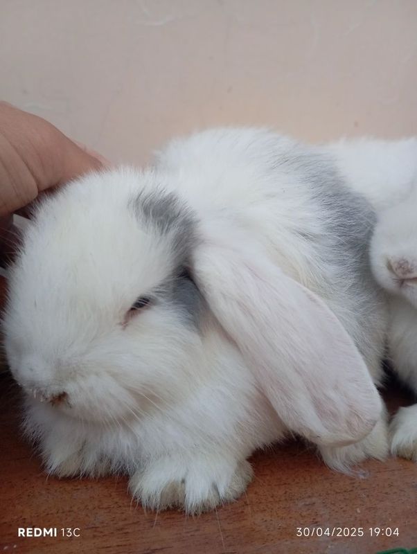 Yana rasmlari bor tg yozsela tashima tg:bzvv1 Yana rasmlari bor tg yozsela tashima tg:bzvv1