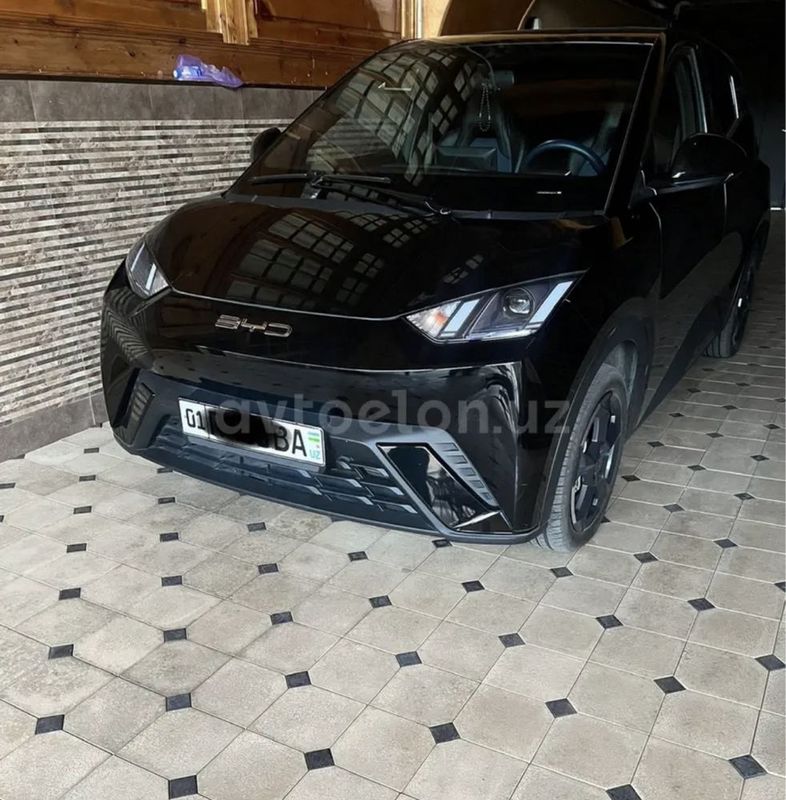 Byd seagull 2024 yil