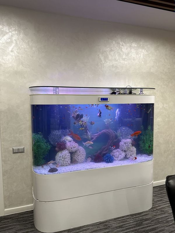 Akvarium zakasga Yasimiza Xar hil razmerda Akvarium zakasga Yasimiza Xar hil razmerda