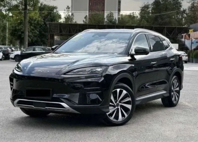 Byd champion 2024 EV
