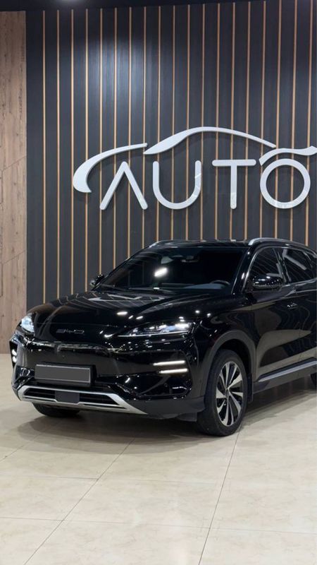 BYD Champion Full 2024 BYD Champion Full 2024