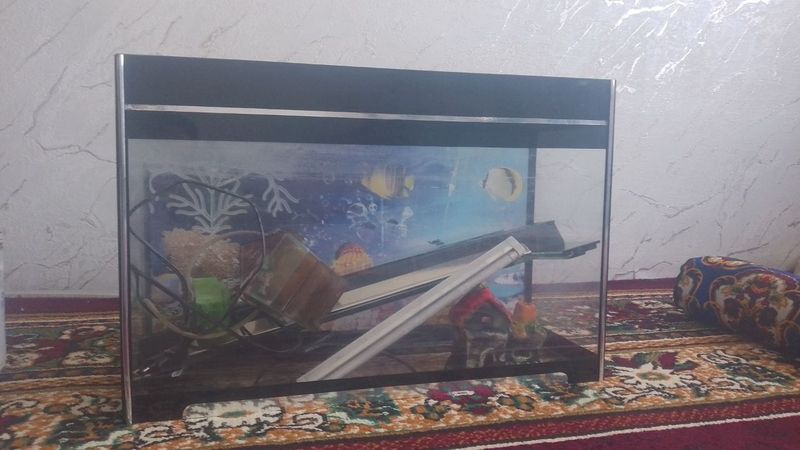 Akvarium sotiladi