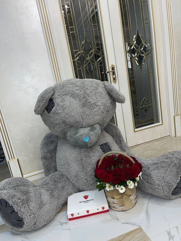 Teddy новая Плюшевая мишка