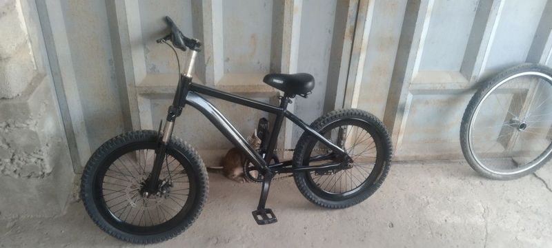 Velsapet 20 xolat zoʻr