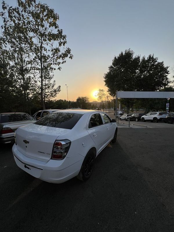 Cobalt midnight 2025 Cobalt midnight 2025