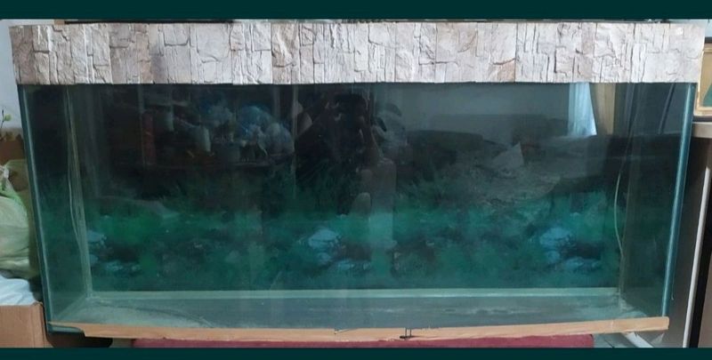 Аквариум 600л качество Аквариум 600л качество