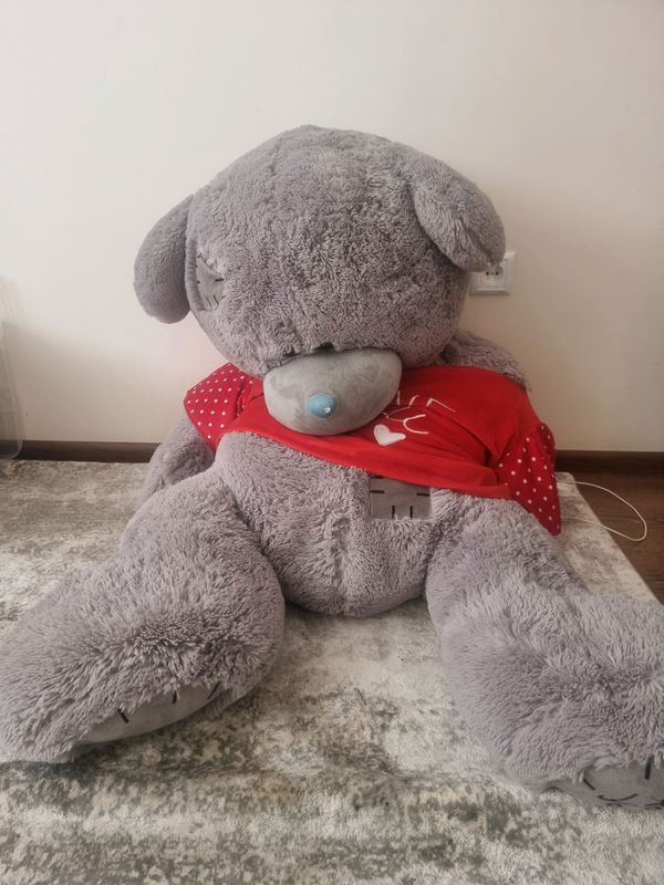 teddiy kattasi teddiy kattasi