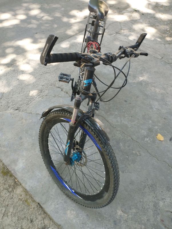 Drongo Drongo