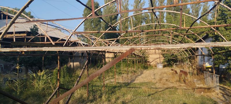 теплица теплица