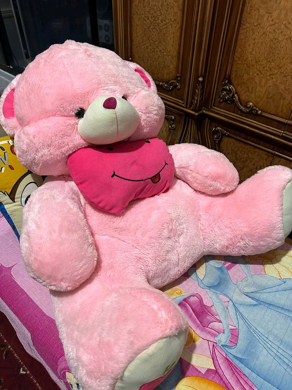 ayiq ayiq
