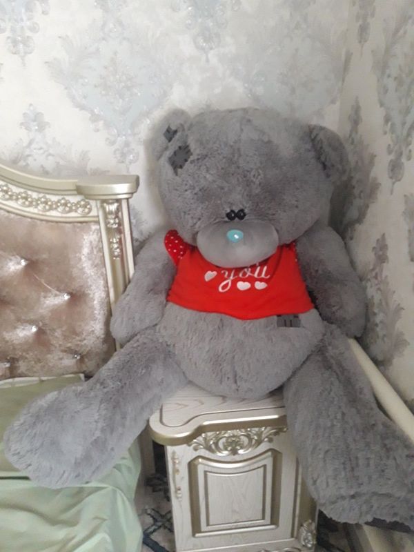 Ayiqcha Teddy Holati yaxshi Ayiqcha Teddy Holati yaxshi