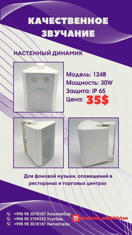 звучание для ресторанного бизнеса и торговых центров! белый