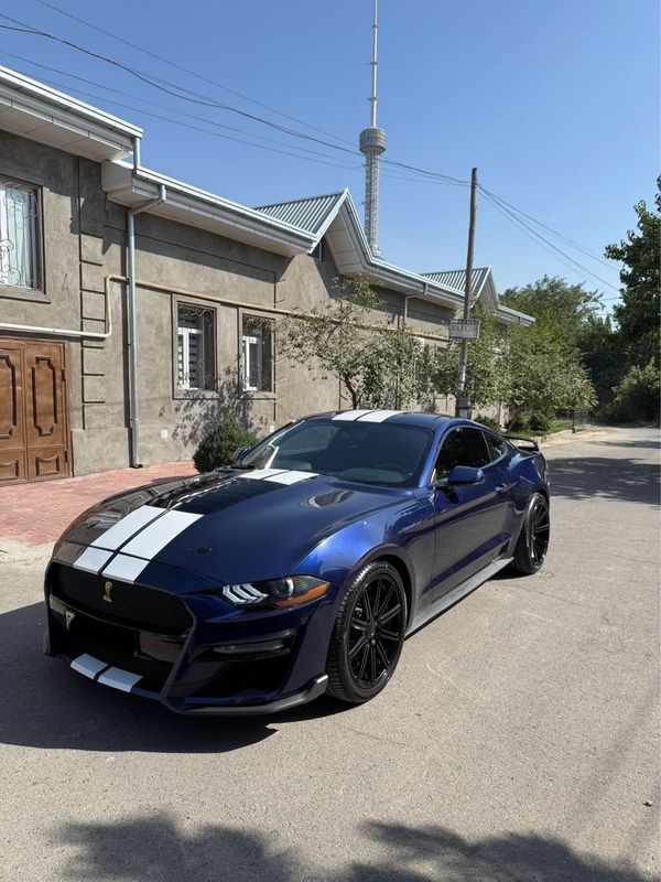 Ford Mustang GT500 Shelby srochna pul zaril Ford Mustang GT500 Shelby srochna pul zaril