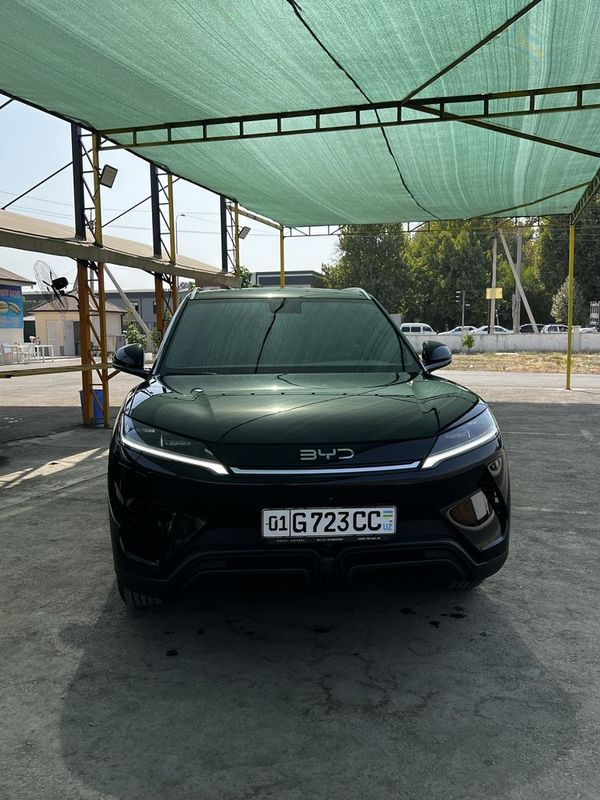 Byd yuan up 2025 Byd yuan up 2025