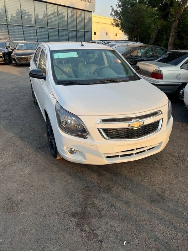 Cobalt midnight 2025 Cobalt midnight 2025