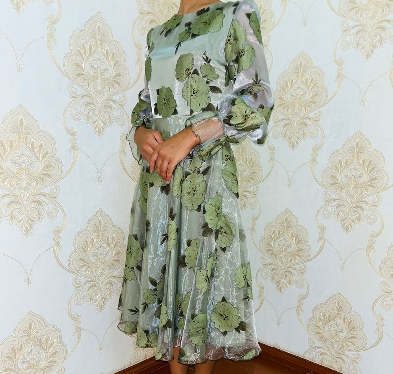 Koylak Koylak