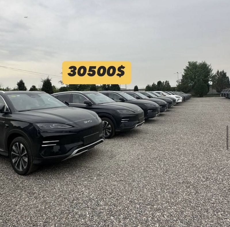 BYD Chempion smart natarus BYD Chempion smart natarus