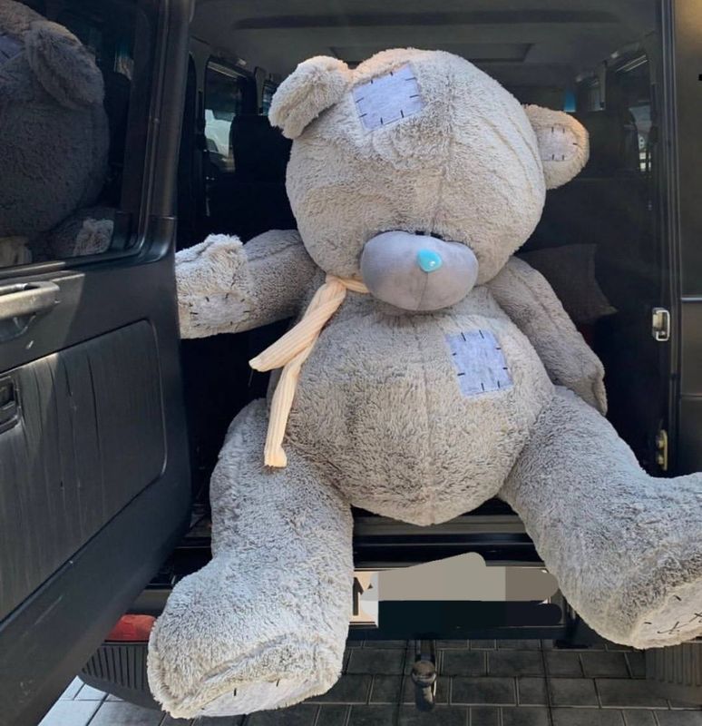 Teddy sotiladi srochna Teddy sotiladi srochna