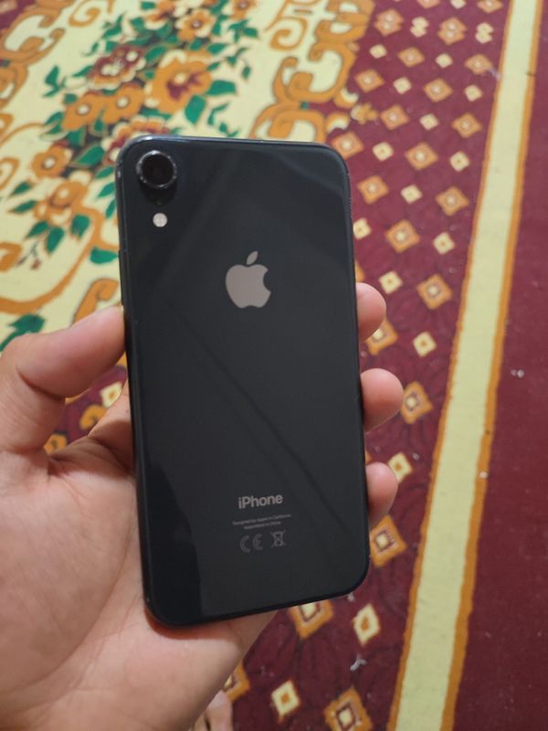 iphone xr radnoy iphone xr radnoy
