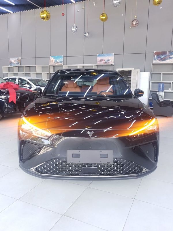 Neta L. Hybrid 2024.